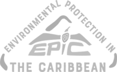 EPIC Islands logo