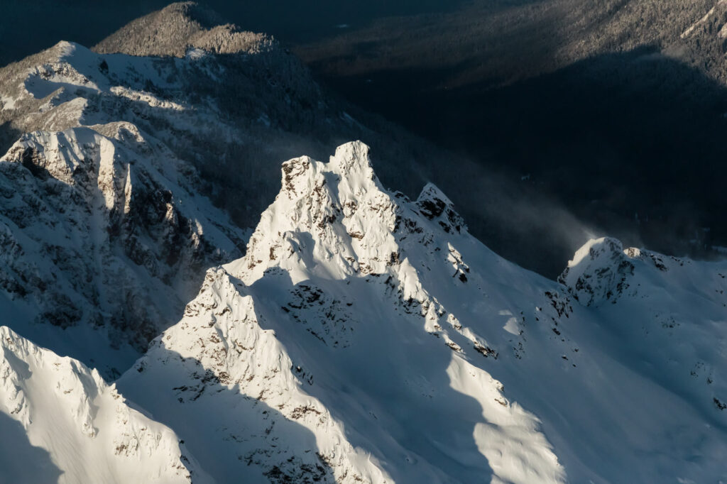 Sealaska gallery 2