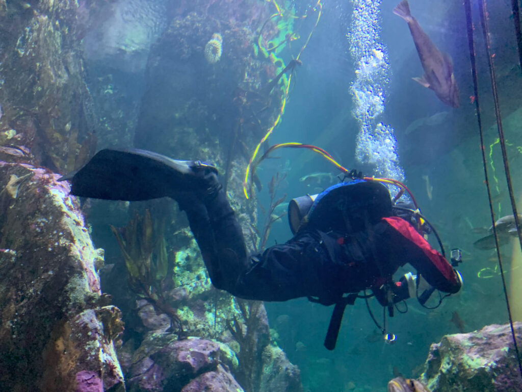 Seattle Aquarium Gallery 4