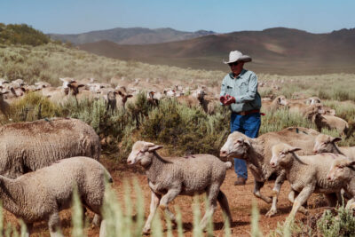 Usda gallery 1